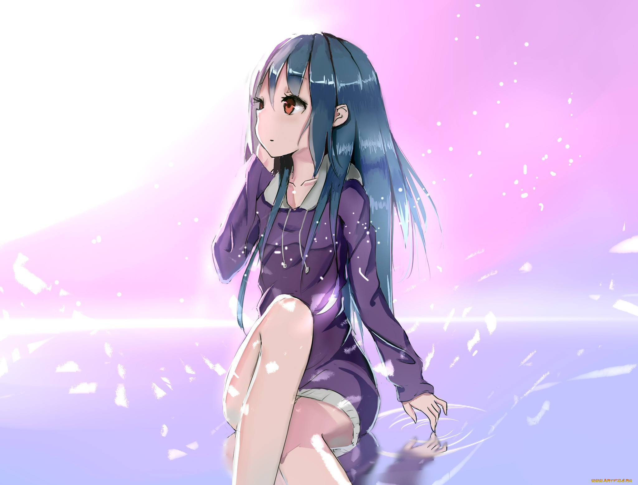 , unknown,  , , , kentia